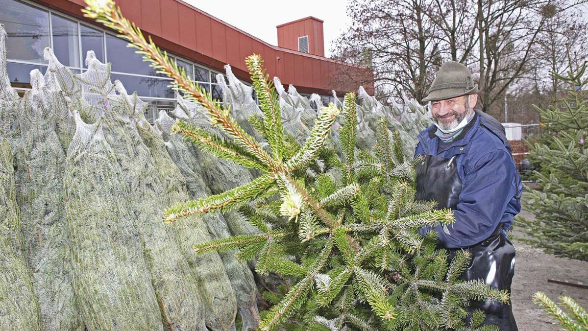 Weihnachtsbaumkauf: Die letzte Chance