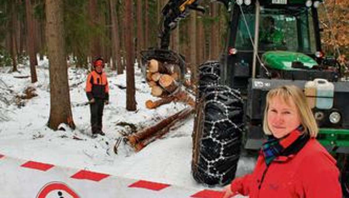 Kulmbach: Holzeinschlag hat Hochsaison
