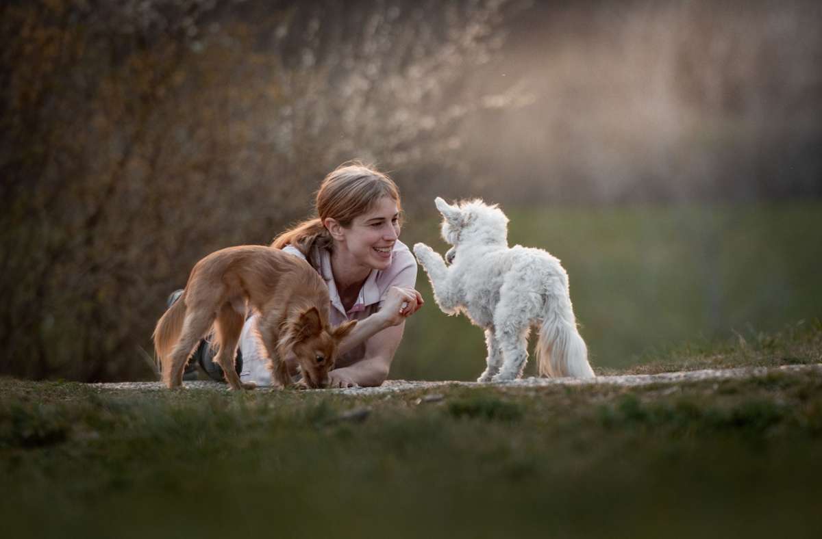 Stefanie Riemer hat mehrere Jahre eine Forschungsgruppe zum Verhalten von Hunden an der Uni in Bern geleitet. Sie kann erklären, warum die Tiere so gut mitfühlen. Foto: picture dpa/Andrea Schmutz