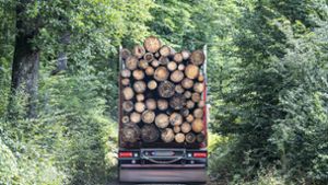 Ziegler-Gruppe: Holz-Gigant pocht auf Nachhaltigkeit