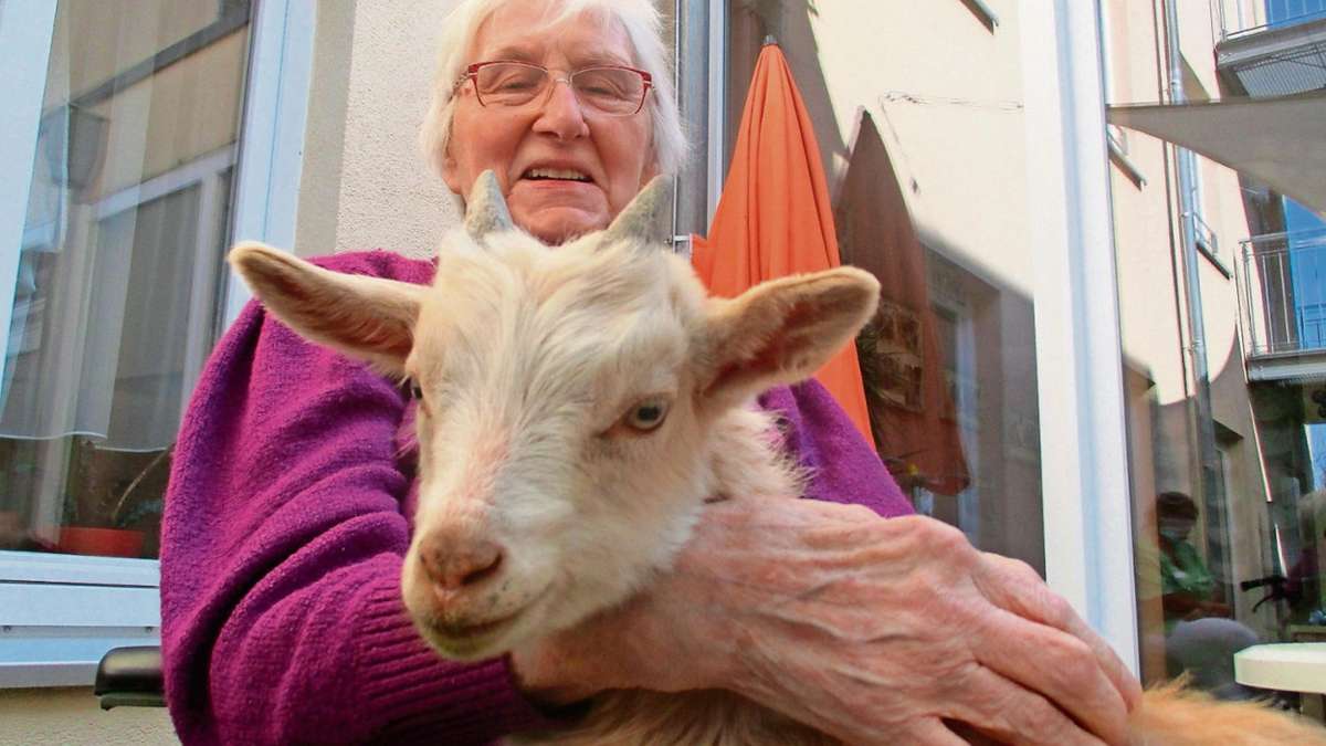 Hof: Ziegen bereiten Senioren Freude