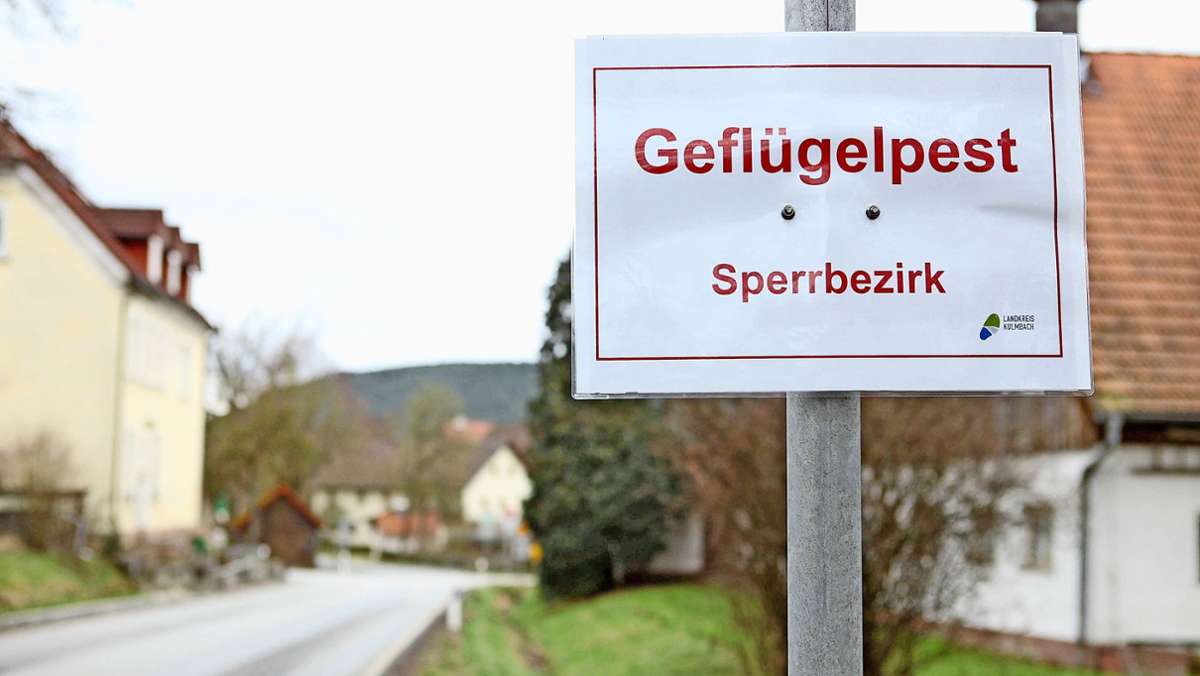 Kein weiterer Fall im Landkreis Kulmbach: Geflügelpest-Sperrzonen sind bald Geschichte