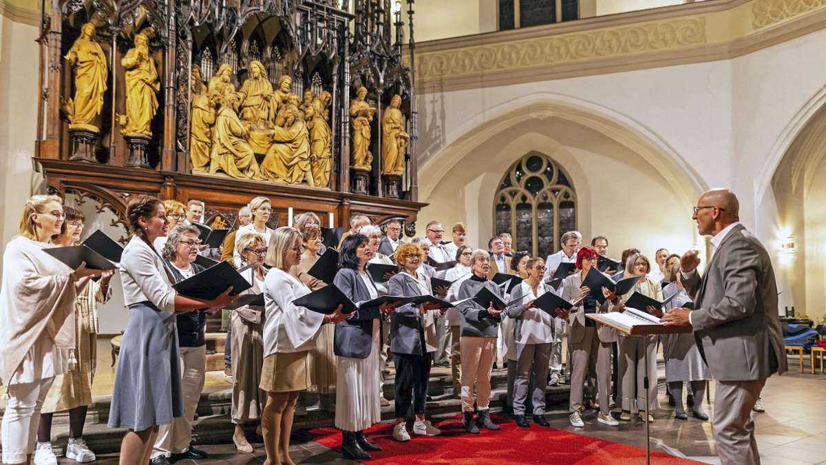 Lehrer uns Lehrerinnen  aus ganz Bayern bilden diesen A-capella-Chor , der nun nach Hof kam.