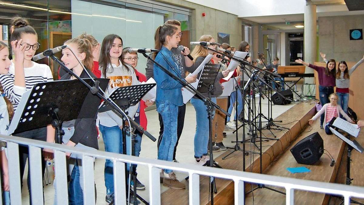 Marktredwitz/Rehau: Zwei Realschulen präsentieren ein Musical