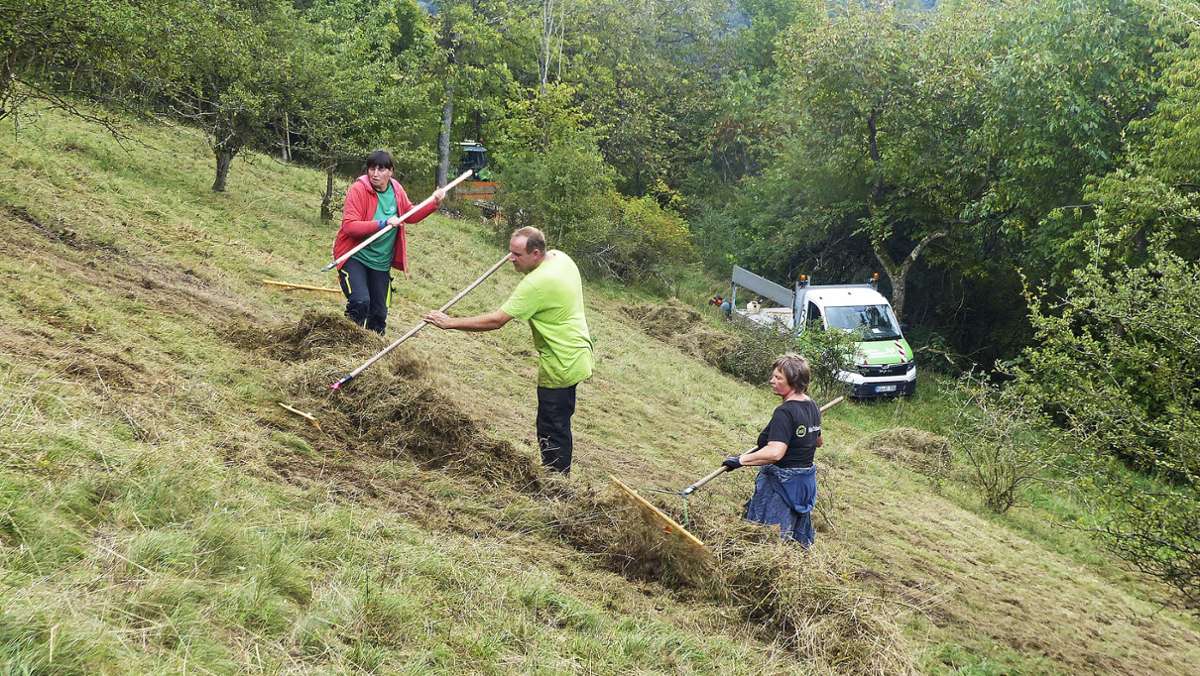 Jetzt auch im Landkreis: Landschaftspflegeverband soll Gemeinden helfen