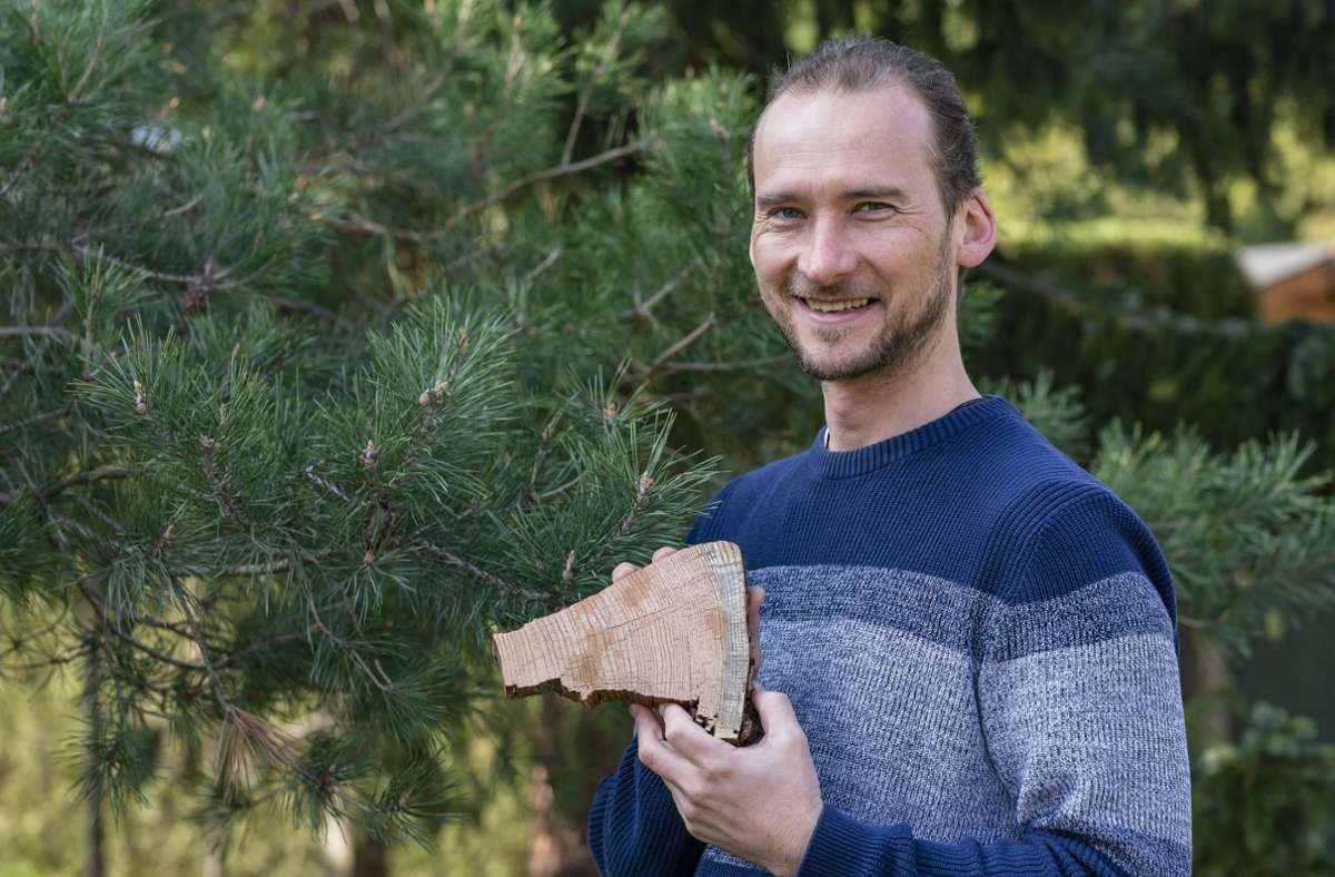 Mit Hilfe seiner Baumring-Studie weist  Tomáš Navrátil, nach, wann sich wie viel   Quecksilber aus der Chemischen Fabrik freigesetzt hat.
