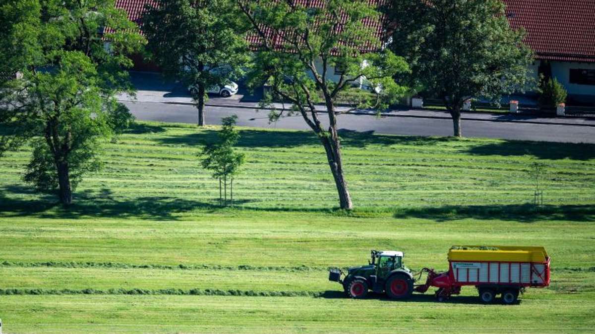 Hof: Leupoldgrün: Unbekannter stiehlt Gras von Wiese