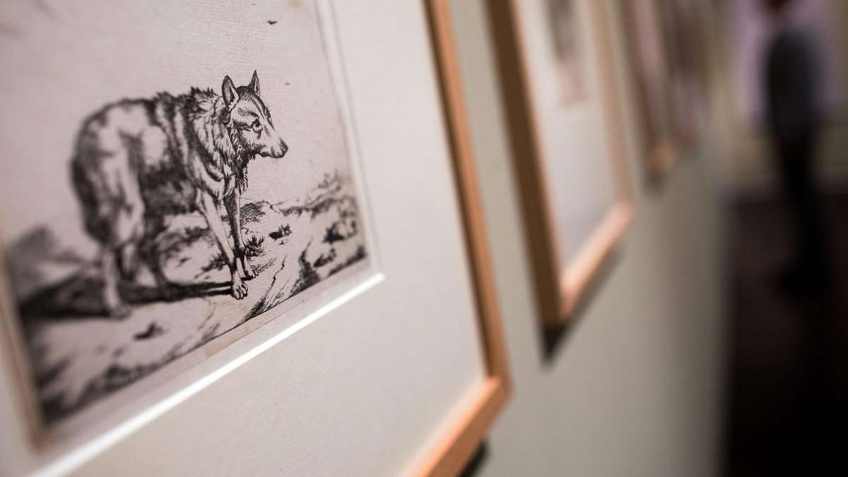 Kunst und Kultur: Die Schau zum Tier - Museum erforscht das schlechte Image des Wolfs