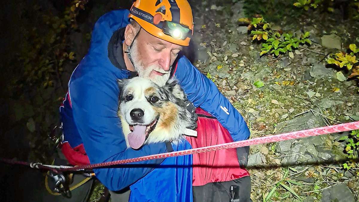 Rettungsaktion: Bergwacht rettet abgestürzten Hund am Teichelberg