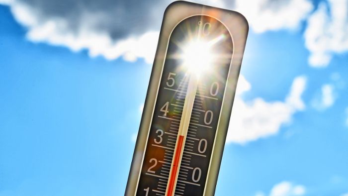 Hitze im Fichtelgebirge: Am schönsten ist es im kühlen Nass oder unterm Sonnenschirm