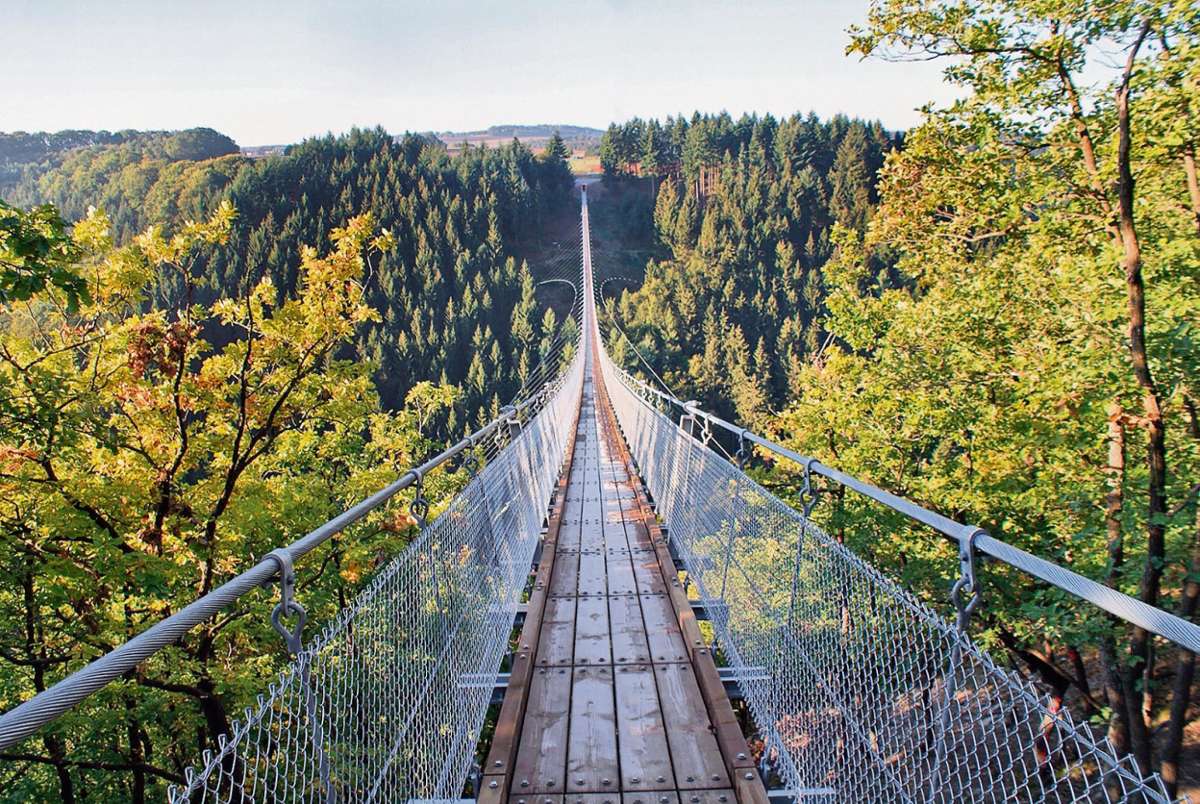 360 Meter spannt sich die Geierlay-Brücke über ein Tal im Hunsrück - bis zum 10. Mai war sie die längste Hängebrücke Deutschlands, dann eröffnete im Harz ein 440 Meter langes Bauwerk. Die zwei geplanten Brücken im Höllental sollen beide länger sein.	Foto: Ingo Börsch, Ortsgemeinde Mörsdorf Quelle: Unbekannt