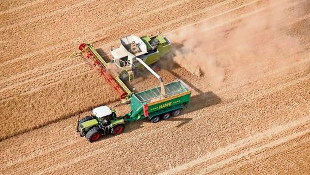 Länderspiegel: Die Getreidepreise sind am Boden
