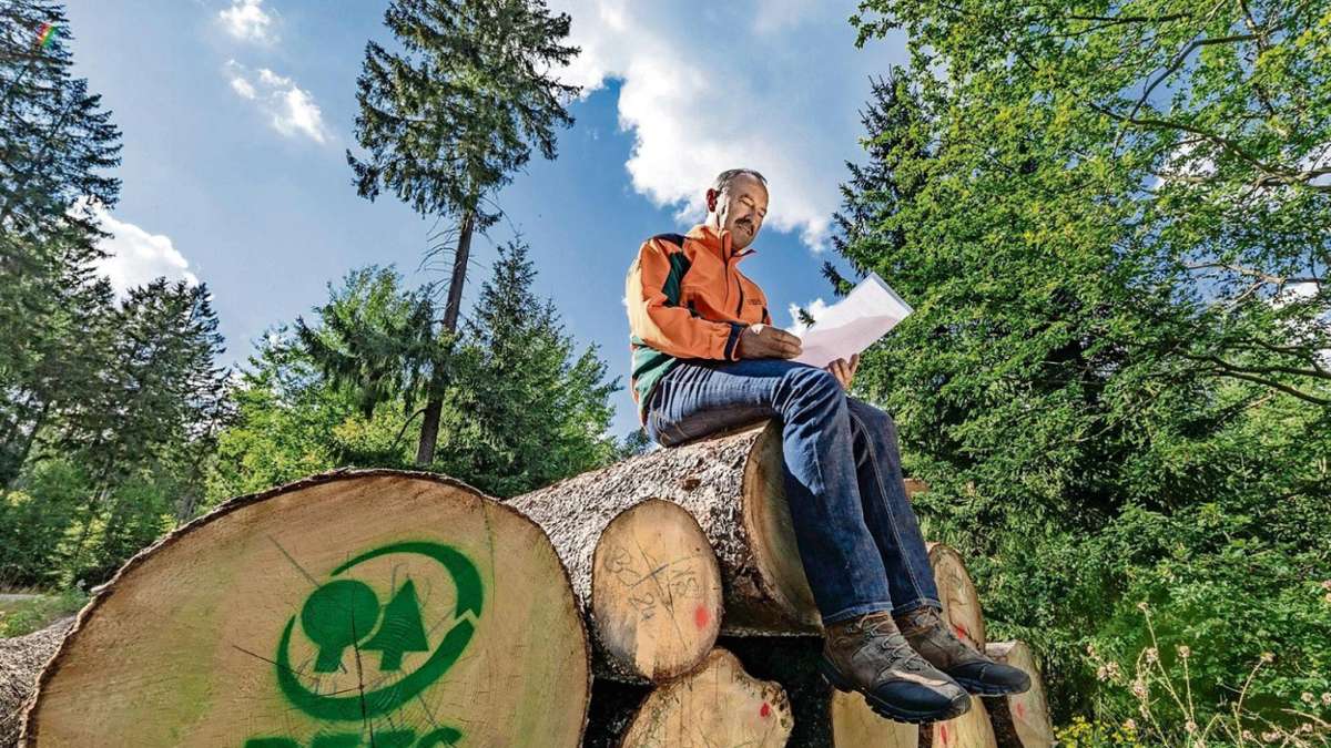 Fichtelberg: Wald-TÜV bestätigt nachhaltige Bewirtschaftung