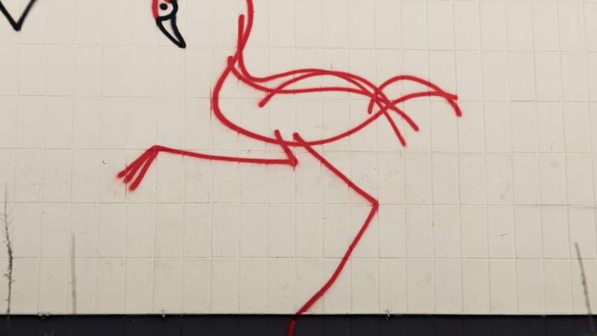 Düsseldorf: Justiz bittet Sprayer von Zürich wegen Flamingos zur Kasse