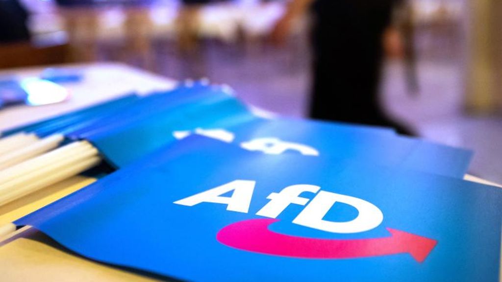Vor Europawahl: AfD wettert beim Wahlkampfauftakt gegen EU-Politik