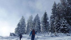 Bergwacht-Einsatz am Skihang
