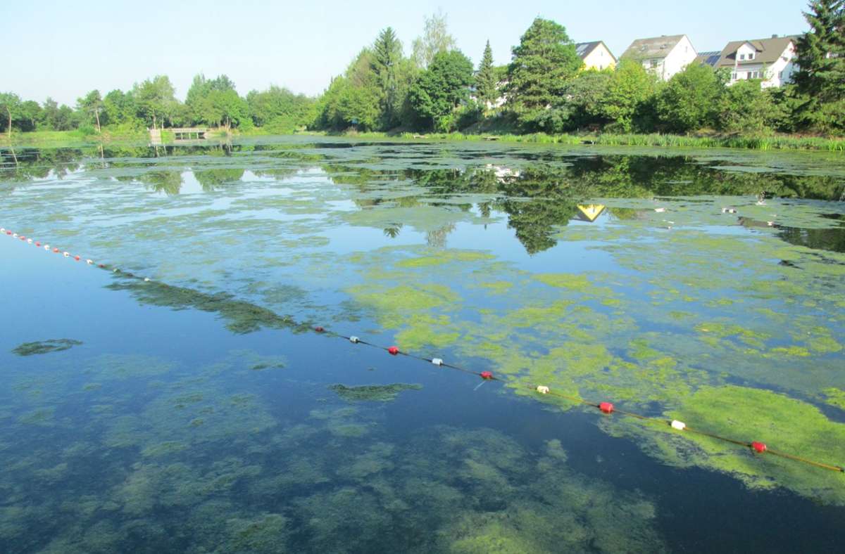 Baden im Quellitzsee bei Tauperlitz ist aktuell nicht möglich. Foto: /privat