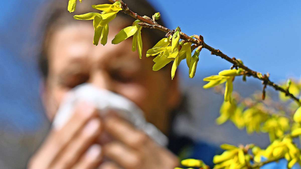 Interview zu Pollenallergie: „Heuschnupfen kommt ganz schleichend“