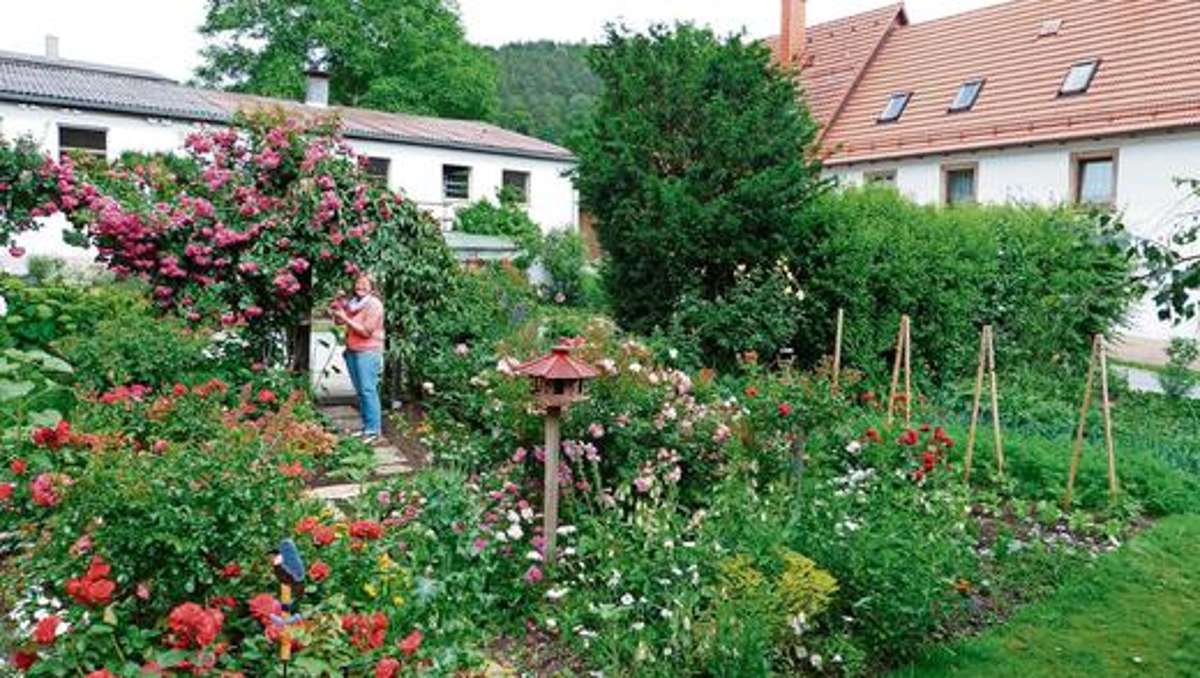Kulmbach: Prachtgärten öffnen ihre Pforten
