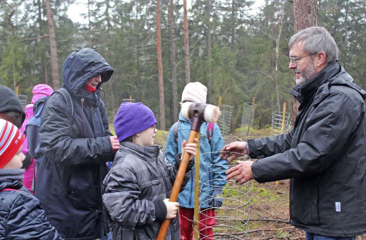 Auch Bürgermeister Torsten Gebhardt legte tatkräftig mit Hand an und unterstützte die Schüler beim Pflanzen der Bäume. Foto: /Christian Schilling