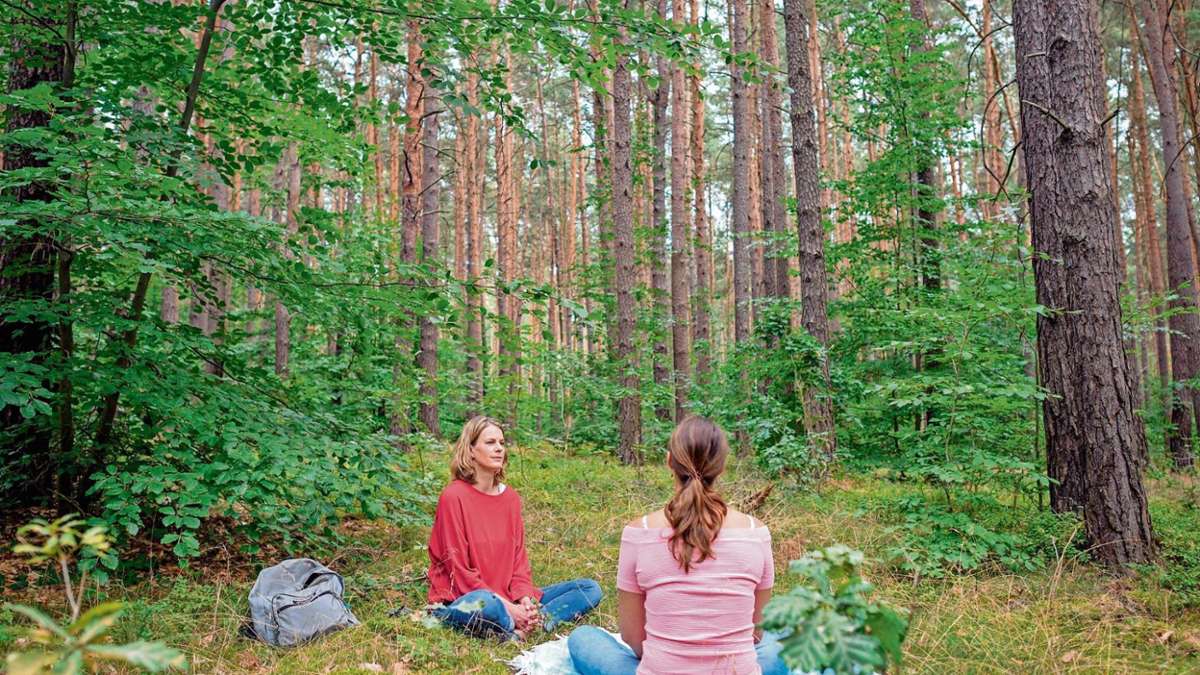 Weißenstadt/Bad Alexandersbad: Kurorte im Fichtelgebirge praktizieren Wald-Therapie