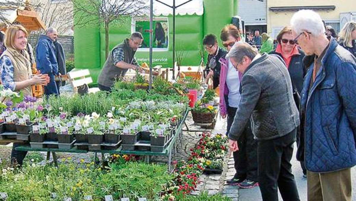 Hof: Markt macht Lust auf Frühling