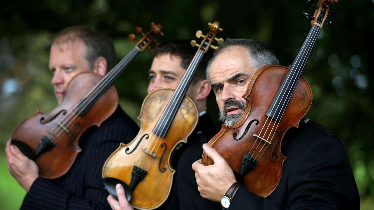 Kunst und Kultur: Britischer Geigenbauer erinnert mit Violinen an den Ersten Weltkrieg