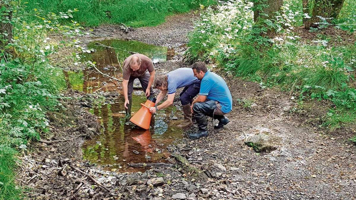 Fichtelgebirge: Flussperlmuschel kämpft ums Überleben