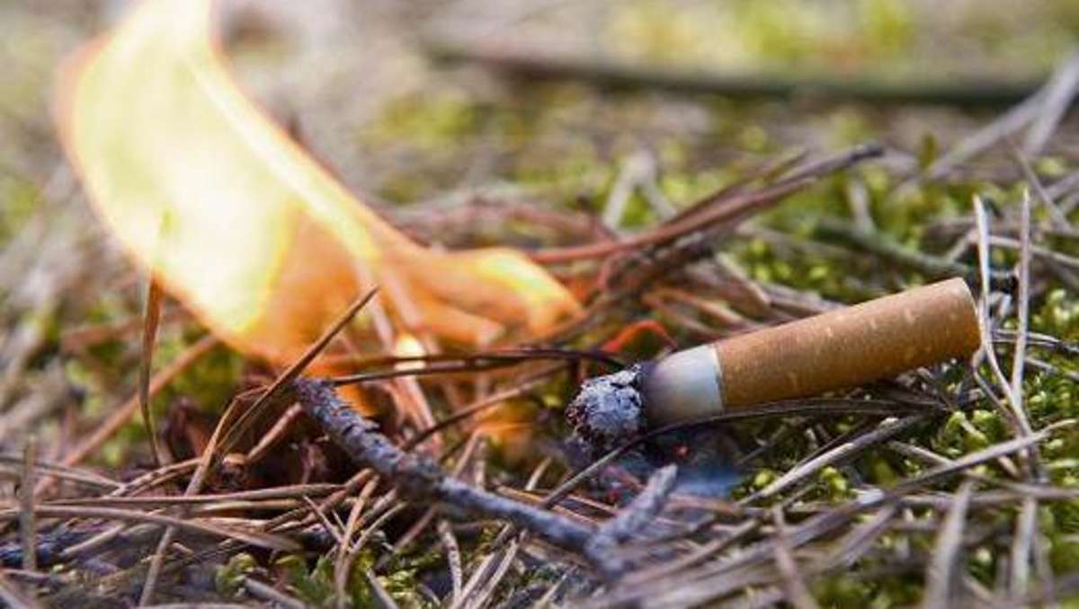 Naila: Zigarettenkippe setzt Wiese in Brand