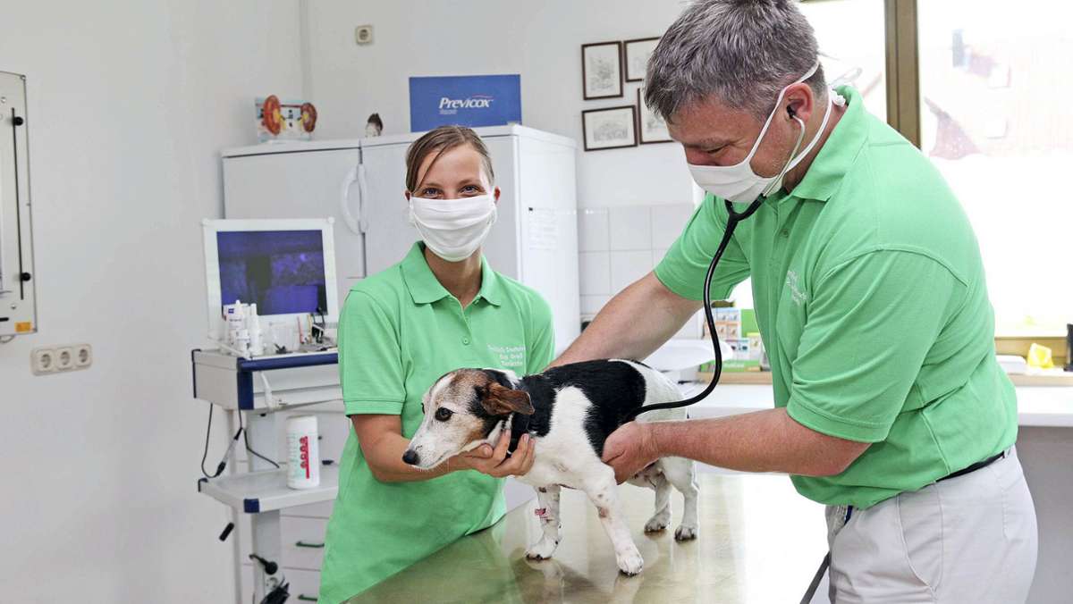 Zu hohe Belastung: Impfung: Tierärzte zeigen sich skeptisch