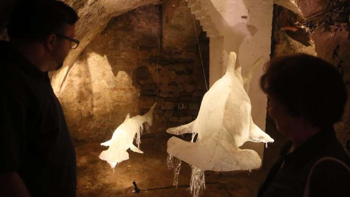 Kunst und Kultur: Kunst im Keller - Ausstellung in Gera erkundet Schattenwelten