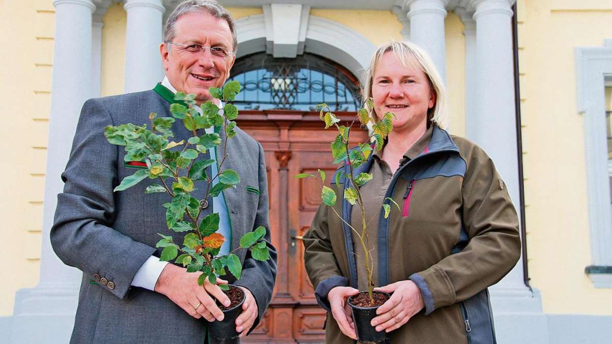 Kulmbach: Stadt verschenkt 1000 Bäume