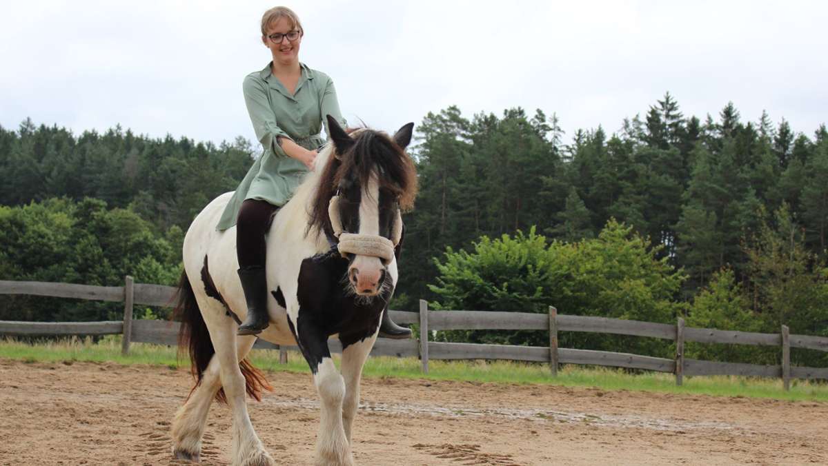 Ratgeber für Pferdefreunde: Auf dem Weg zum eigenen Pferd