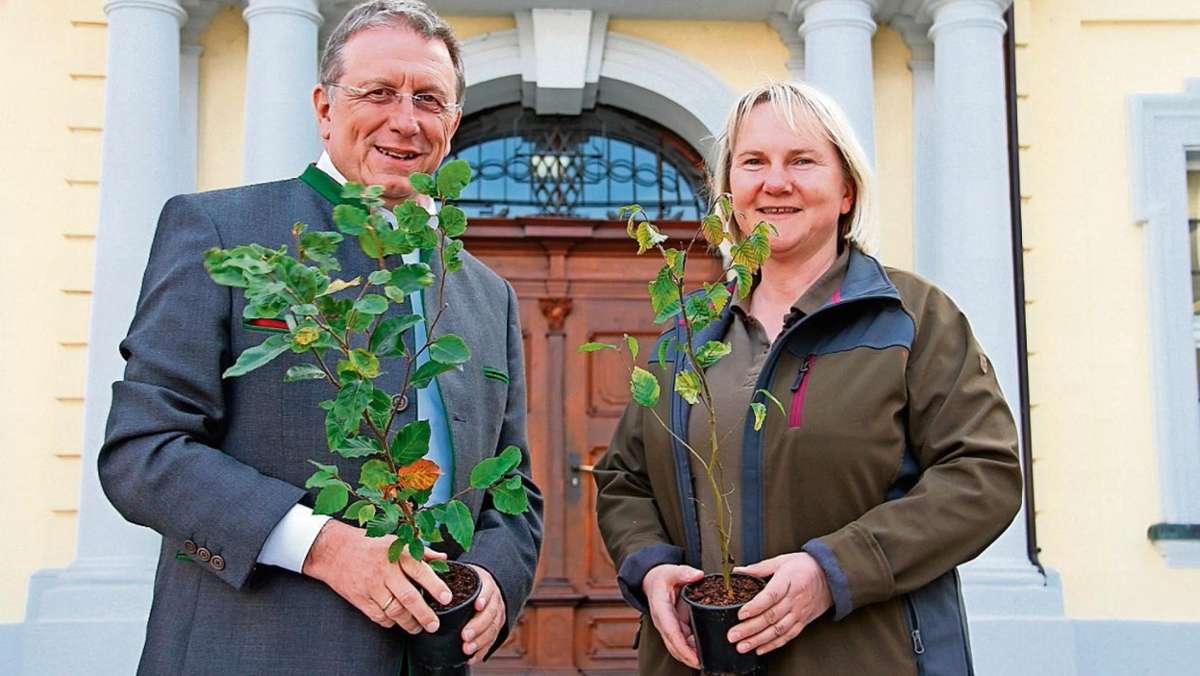 Kulmbach: Schramm verschenkt Bäume