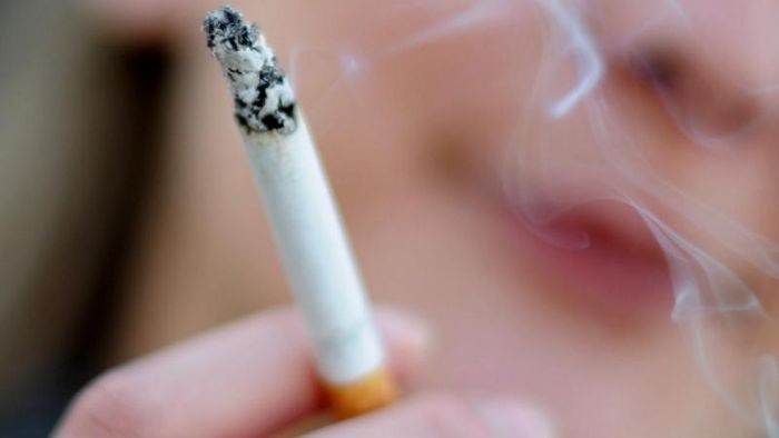 Weggeworfene Zigarette setzt Waldboden in Brand