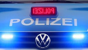 Schirnding: Autodieb rammt Polizeiwagen