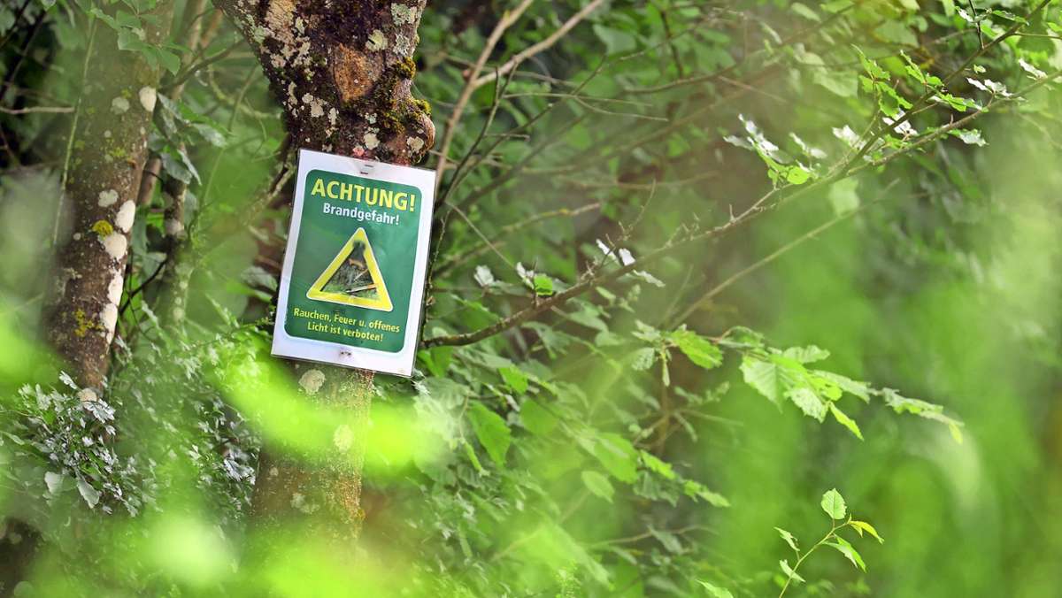 Oberfranken: Waldbrandgefahr steigt drastisch