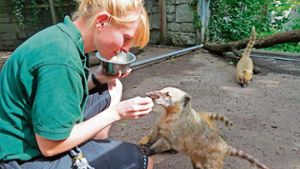 Corona-Krise: Hofer Zoo in Bedrängnis