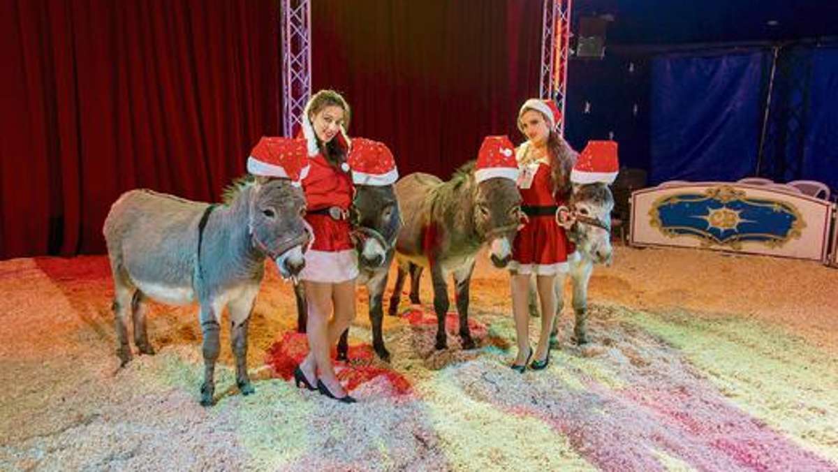 Hof: Circus Baroness gastiert mit Weihnachtsshow in Hof