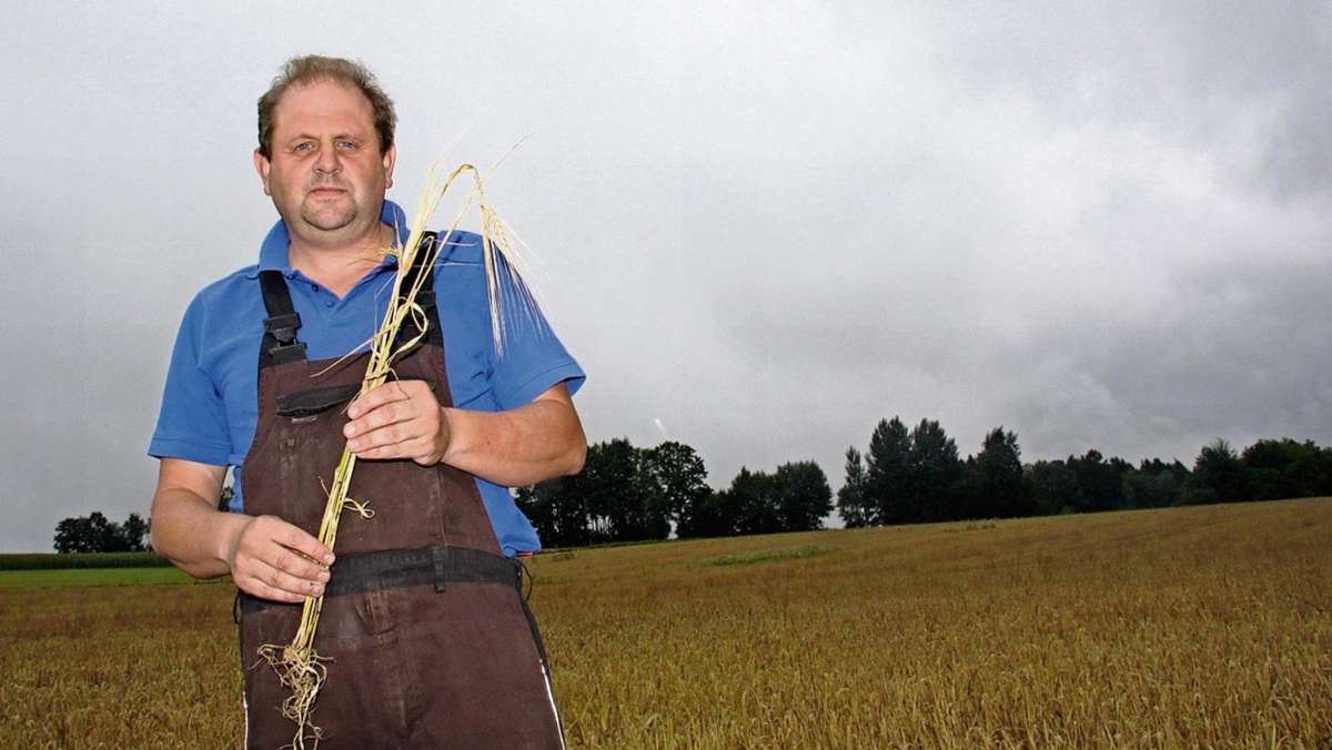 Bergnersreuth: Miserable Ernte für Bauern