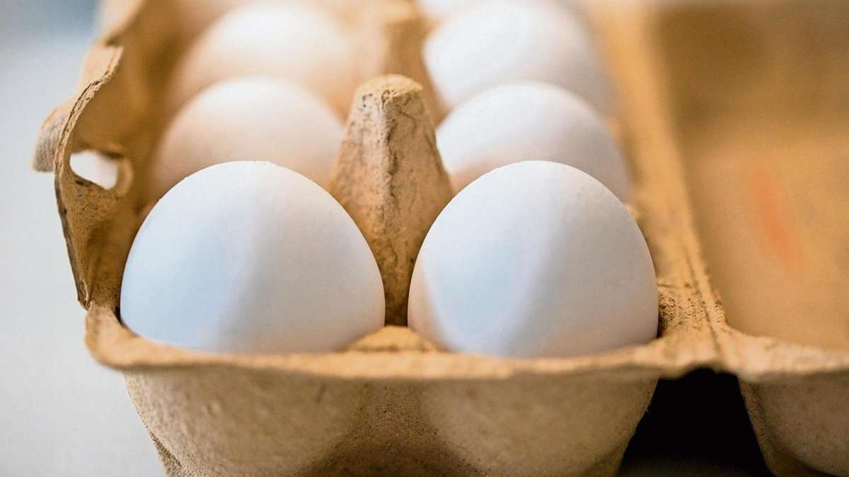 Fichtelgebirge: Das gute Ei kommt aus der Region