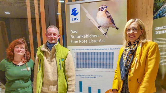 Braunkehlchen-Ausstellung: Vögel des Jahres auf der roten Liste