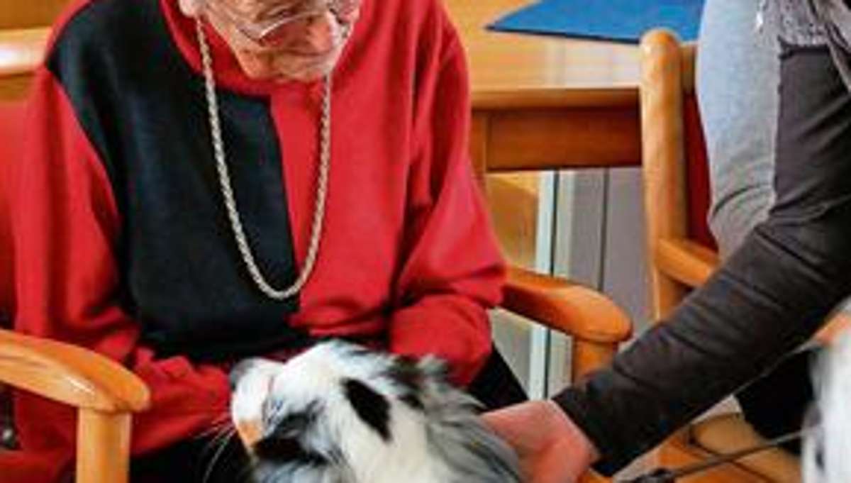 Hof: Hunde bringen Senioren ins Schwelgen