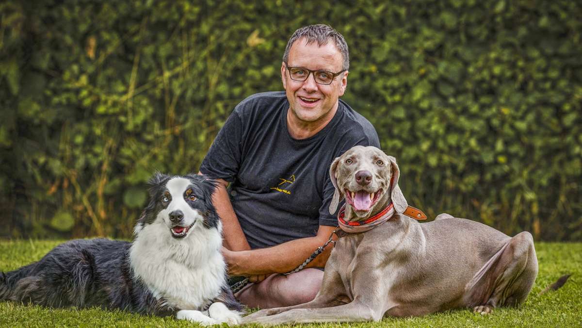 Hundeführerschein: „Auch ein Pitbull kann  ein Schmusetier sein“