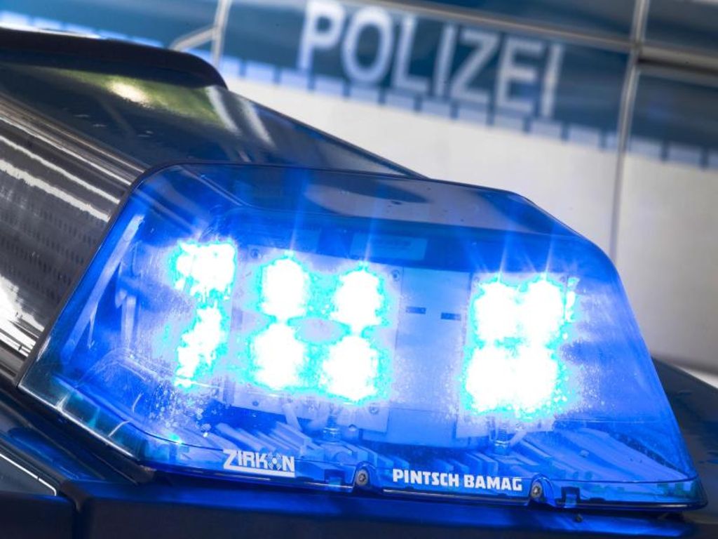Blaulicht leuchtet auf dem Dach eines Polizeiwagens. Foto: Friso Gentsch/Archiv