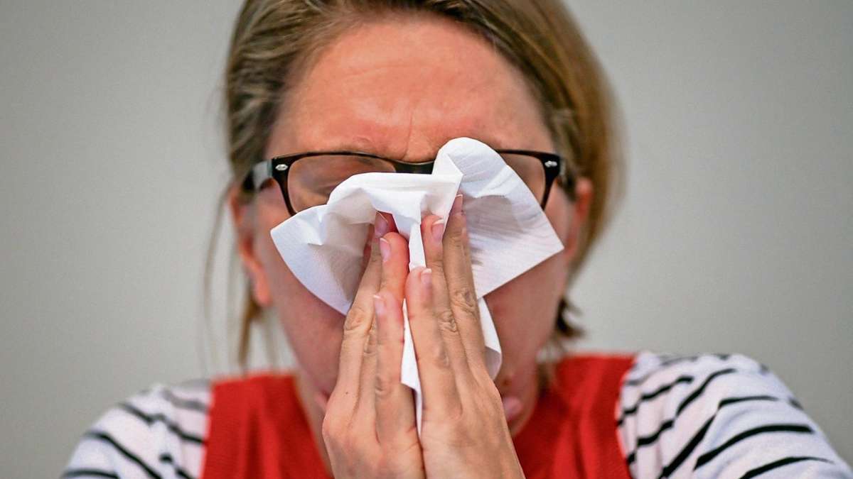 Fichtelgebirge: Die Grippewelle erfasst das Fichtelgebirge