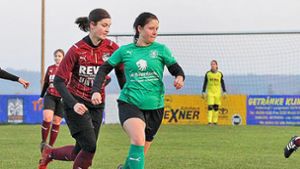 Fußball-Damen-Kreispokal Hof/Marktredwitz: Drei Teams – ein Pokal: Holen die Frösche den Titel?