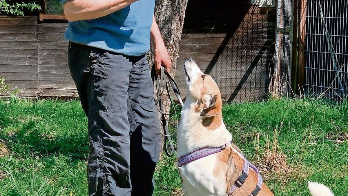 Fohlenhof: Liebevolle Partnerschaft mit dem Hund