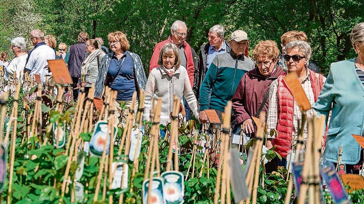 Hof: Messe Lebensart präsentiert Gartentrends