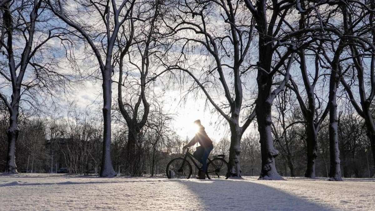 Hof: SPD will Wege für Radfahrer in Parks freigeben